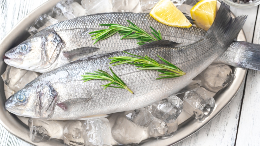 Glacons cubiques alimentaires